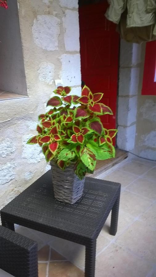 Bella Vista Holiday home Aubeterre-sur-Dronne